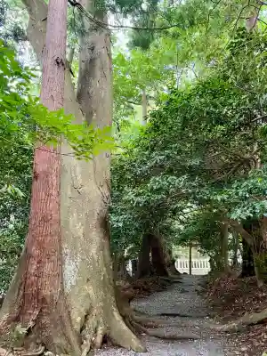 祓戸神社(新潟県)