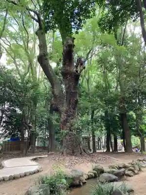 生田神社(兵庫県)