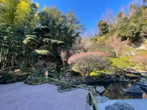 報国寺の庭園