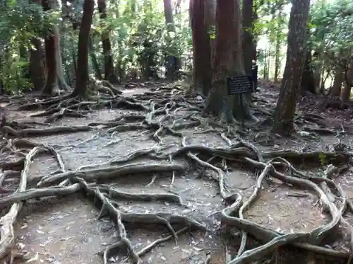 由岐神社の自然