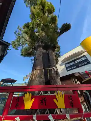 五方山熊野神社(東京都)