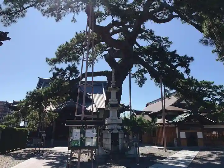 大慶寺のその他建物