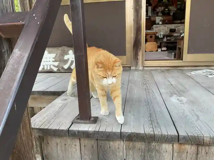一心寺・一心禅寺(愛知県)