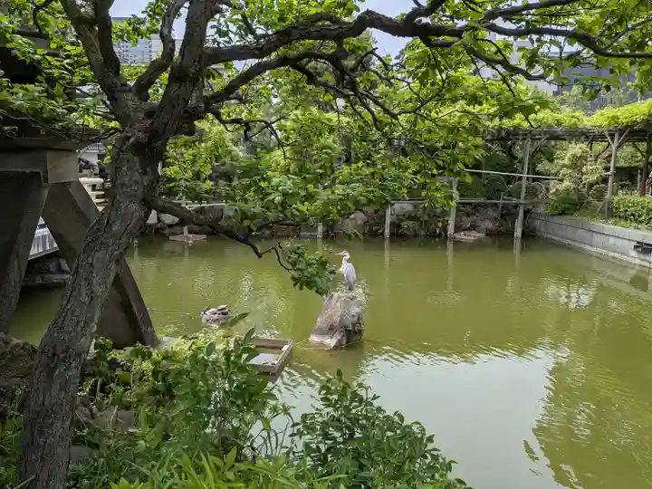 亀戸天神社(東京都)