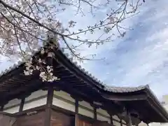 高家寺の本殿