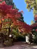 渋川八幡宮(群馬県)