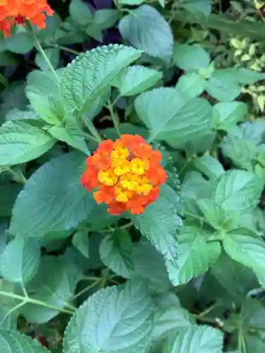 三輪神社の自然
