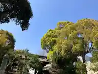 総持寺の{uncategorized: "未分類", other: "その他", undefined: "問題あり", building: "その他建物", grave: "お墓", sacred_gate: "鳥居", guardian: "狛犬", statue: "像", buddha: "仏像", history: "歴史", nature: "自然", garden: "庭園", animal: "動物", pagoda: "塔", temizu: "手水舎", mountain_gate: "山門・神門", sanctuary: "本殿・本堂", subordinate: "末社・摂社", art: "芸術", scenery: "景色", jizo: "地蔵", ema: "絵馬", goshuin: "御朱印", omikuji: "おみくじ", items: "授与品その他", amulet: "お守り", goshuincho: "御朱印帳", eats: "食事", festival: "お祭り", votive_dance: "神楽", shichigosan: "七五三参", wedding: "結婚式", experience: "体験その他", initially: "初詣", around: "周辺", anti_infection: "感染症対策"}