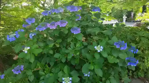 出雲大神宮の庭園