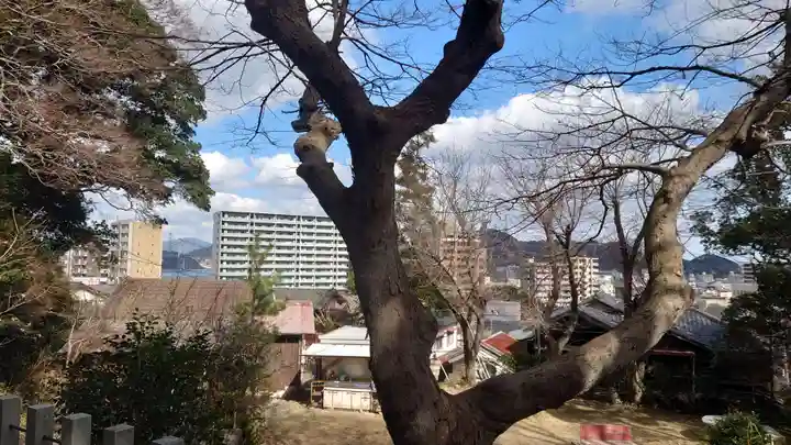 清滝貴布祢神社の自然