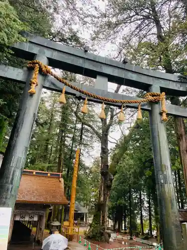 諏訪大社の鳥居