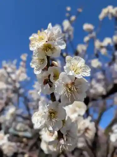 瑞円寺(東京都)