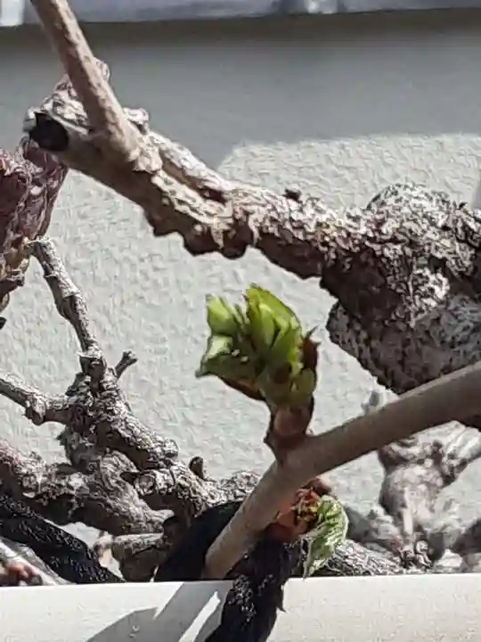 西方山極楽寺(岐阜県)