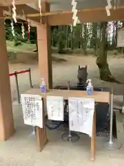 伊波乃西神社の感染症対策