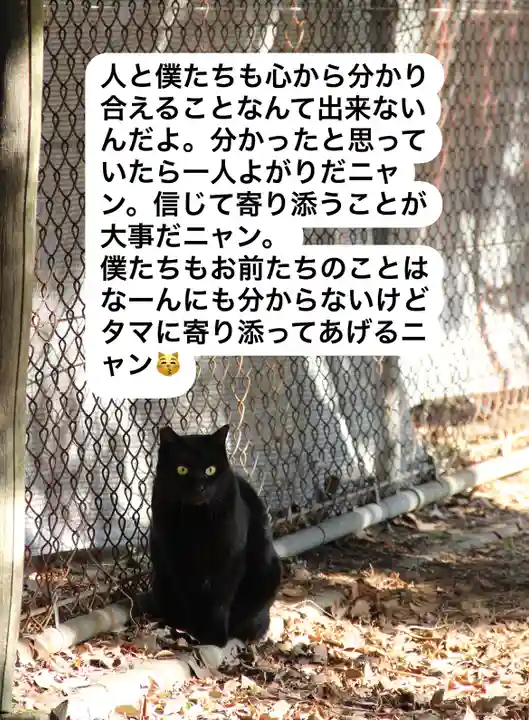 専念寺(大阪府)