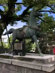 津田八幡神社の狛犬