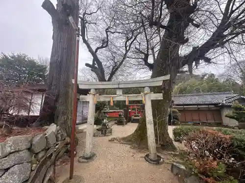 春日神社の鳥居