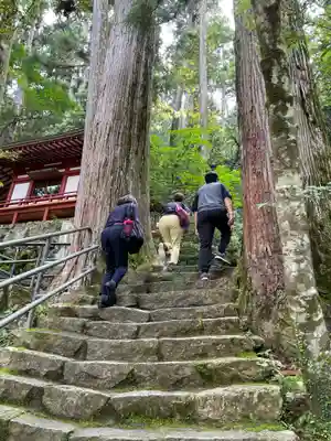 飛瀧神社(熊野那智大社別宮)(和歌山県)
