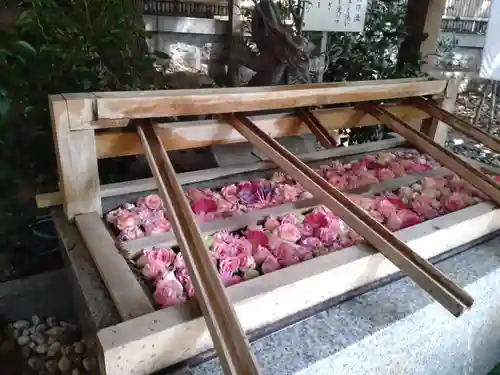 東京大神宮の手水舎