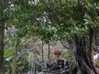 伊多波刀神社(愛知県)