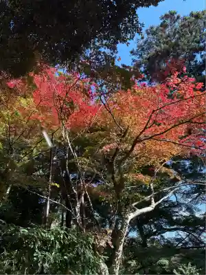 筑波山神社(茨城県)