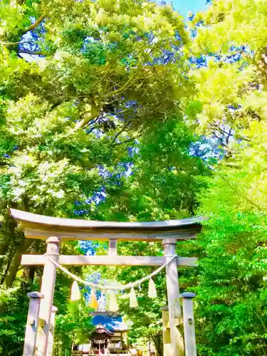 成田熊野神社の鳥居