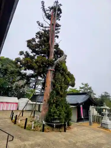 吉備津彦神社(岡山県)