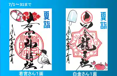 １面の若宮さんと白金さん