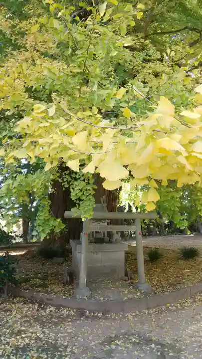 西蓮寺(茨城県)