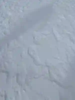 赤城神社(群馬県)