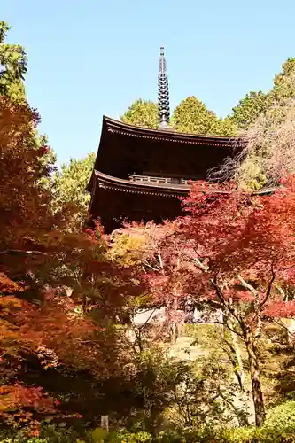 金剛輪寺(滋賀県)