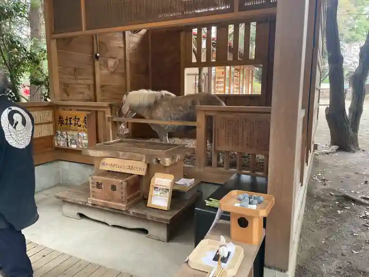 平塚八幡宮(神奈川県)