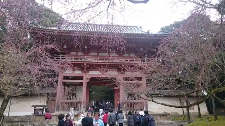 醍醐寺の山門・神門