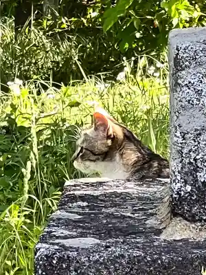 上伊那招魂社(長野県)