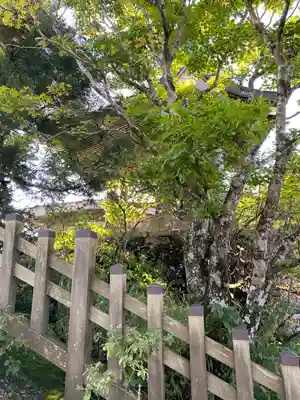 筑波山神社 男体山御本殿(茨城県)