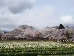 実相寺の周辺