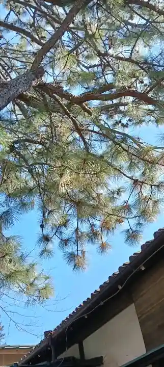 前原御嶽神社の{uncategorized: "未分類", other: "その他", undefined: "問題あり", building: "その他建物", grave: "お墓", sacred_gate: "鳥居", guardian: "狛犬", statue: "像", buddha: "仏像", history: "歴史", nature: "自然", garden: "庭園", animal: "動物", pagoda: "塔", temizu: "手水舎", mountain_gate: "山門・神門", sanctuary: "本殿・本堂", subordinate: "末社・摂社", art: "芸術", scenery: "景色", jizo: "地蔵", ema: "絵馬", goshuin: "御朱印", omikuji: "おみくじ", items: "授与品その他", amulet: "お守り", goshuincho: "御朱印帳", eats: "食事", festival: "お祭り", votive_dance: "神楽", shichigosan: "七五三参", wedding: "結婚式", experience: "体験その他", initially: "初詣", around: "周辺", anti_infection: "感染症対策"}