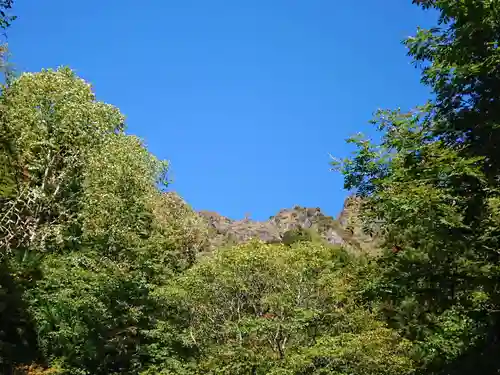 戸隠神社九頭龍社の自然