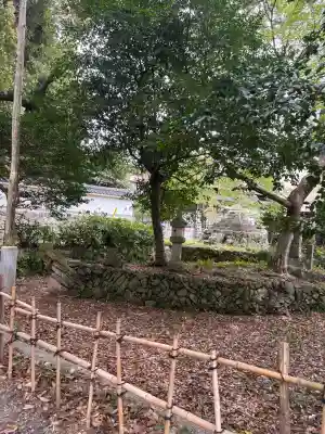 御津神社の{uncategorized: "未分類", other: "その他", undefined: "問題あり", building: "その他建物", grave: "お墓", sacred_gate: "鳥居", guardian: "狛犬", statue: "像", buddha: "仏像", history: "歴史", nature: "自然", garden: "庭園", animal: "動物", pagoda: "塔", temizu: "手水舎", mountain_gate: "山門・神門", sanctuary: "本殿・本堂", subordinate: "末社・摂社", art: "芸術", scenery: "景色", jizo: "地蔵", ema: "絵馬", goshuin: "御朱印", omikuji: "おみくじ", items: "授与品その他", amulet: "お守り", goshuincho: "御朱印帳", eats: "食事", festival: "お祭り", votive_dance: "神楽", shichigosan: "七五三参", wedding: "結婚式", experience: "体験その他", initially: "初詣", around: "周辺", anti_infection: "感染症対策"}