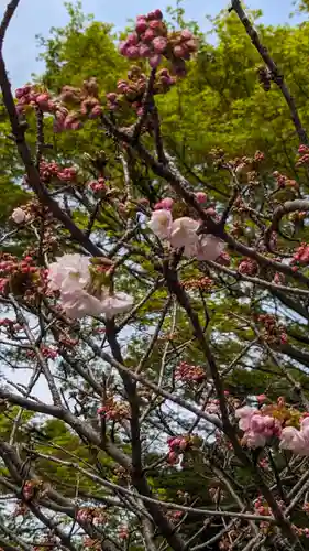 大報恩寺（千本釈迦堂）(京都府)