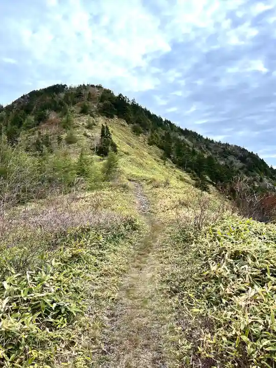 山家神社奥宮の自然