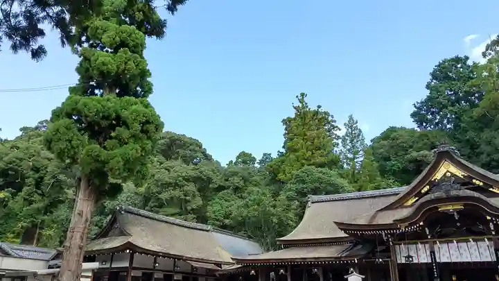 大神神社(奈良県)