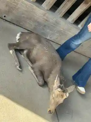 東大寺(奈良県)