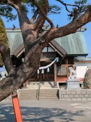 稲荷神社（鍛冶稲荷神社）の{uncategorized: "未分類", other: "その他", undefined: "問題あり", building: "その他建物", grave: "お墓", sacred_gate: "鳥居", guardian: "狛犬", statue: "像", buddha: "仏像", history: "歴史", nature: "自然", garden: "庭園", animal: "動物", pagoda: "塔", temizu: "手水舎", mountain_gate: "山門・神門", sanctuary: "本殿・本堂", subordinate: "末社・摂社", art: "芸術", scenery: "景色", jizo: "地蔵", ema: "絵馬", goshuin: "御朱印", omikuji: "おみくじ", items: "授与品その他", amulet: "お守り", goshuincho: "御朱印帳", eats: "食事", festival: "お祭り", votive_dance: "神楽", shichigosan: "七五三参", wedding: "結婚式", experience: "体験その他", initially: "初詣", around: "周辺", anti_infection: "感染症対策"}