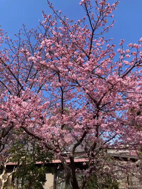 善福寺(神奈川県)