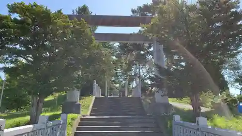 早来神社の鳥居