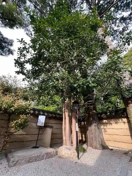 法起院(奈良県)