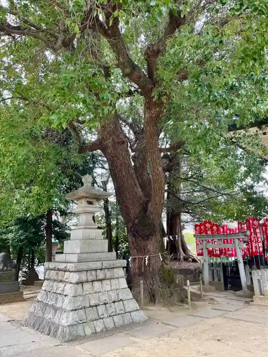 諏訪神社(東京都)