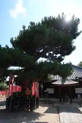 葛井寺(大阪府)