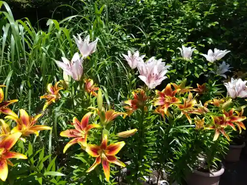 筥崎宮(福岡県)